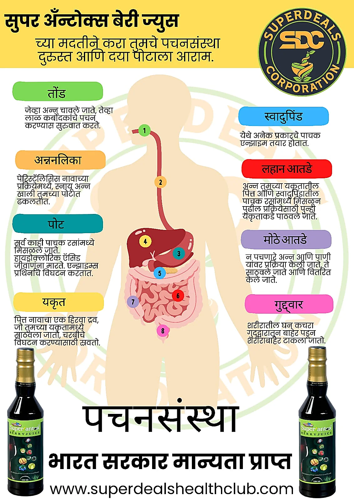 How it supports your digestive system